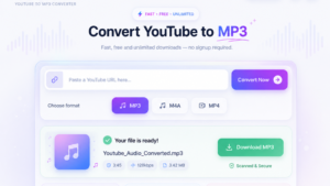 YouTube to MP4 Converter 